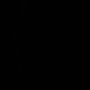 Meet your Posher, Paulette